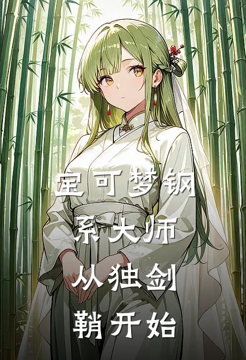 宝可梦钢系大师：从独剑鞘开始
