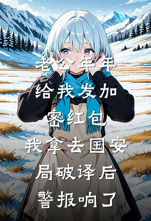 老公年年给我发加密红包，我拿去国安局破译后警报响了