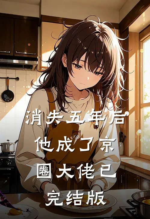 消失五年后，他成了京圈大佬已完结版