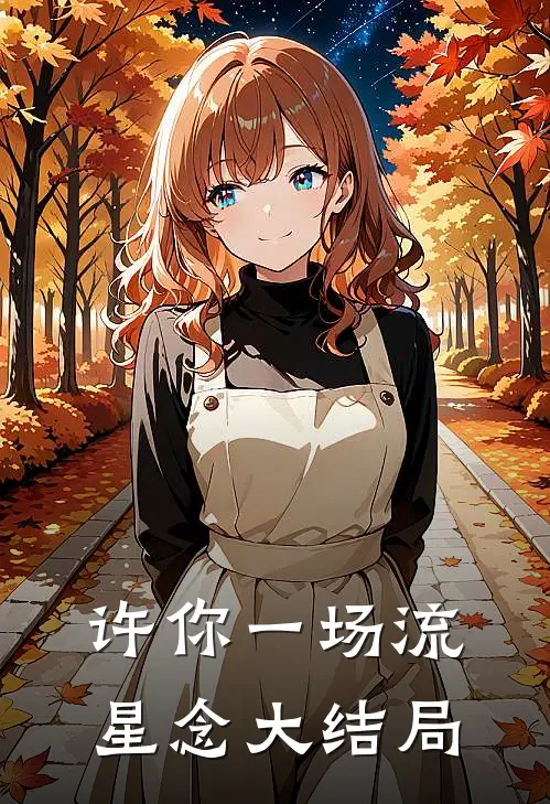许你一场流星念大结局