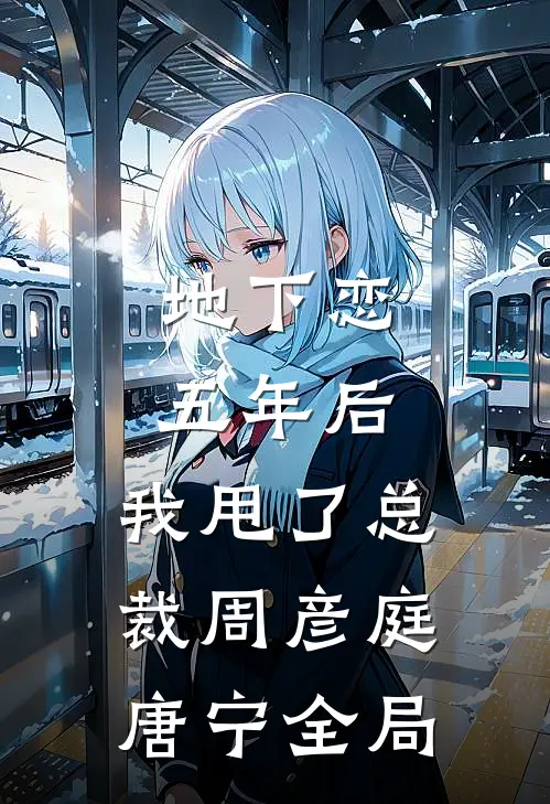 地下恋五年后，我甩了总裁周彦庭唐宁全局