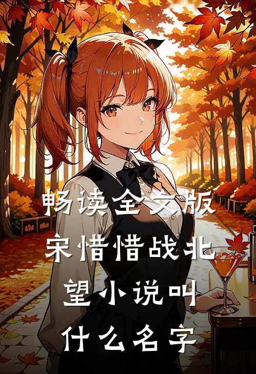 畅读全文版宋惜惜战北望小说叫什么名字