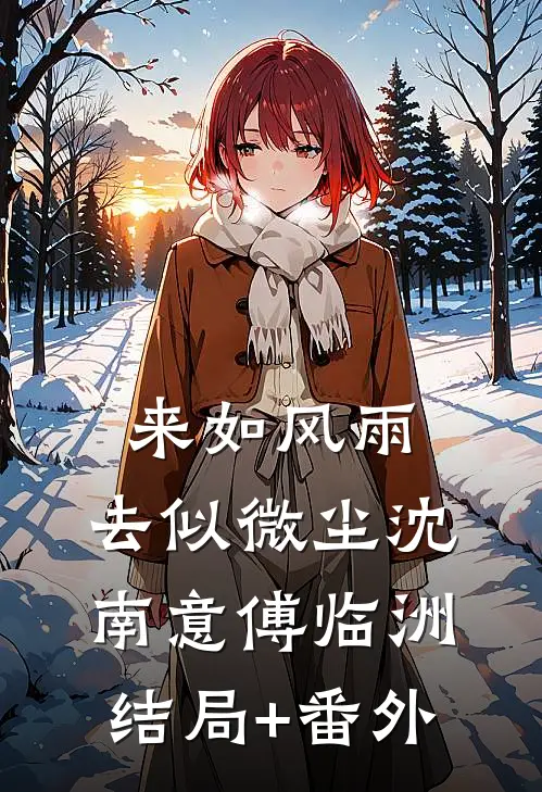 来如风雨，去似微尘沈南意傅临洲结局+番外