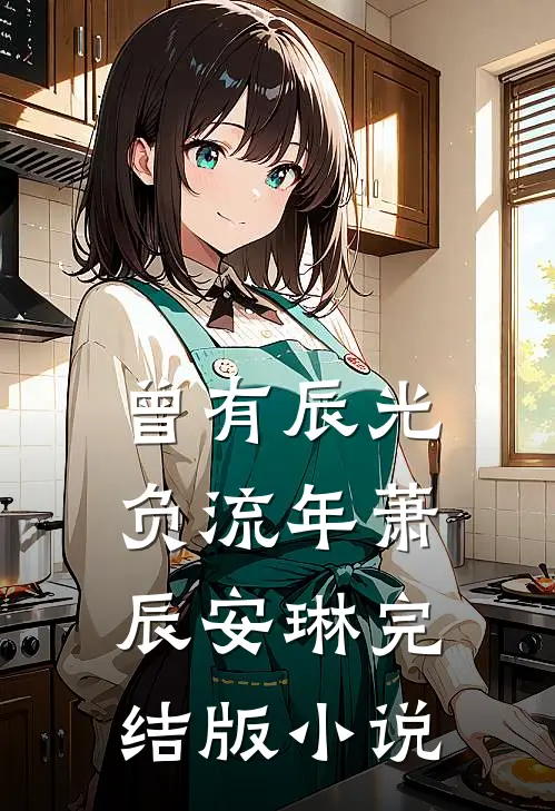 曾有辰光负流年萧辰安琳完结版小说
