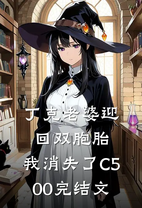 丁克老婆迎回双胞胎，我消失了C500完结文