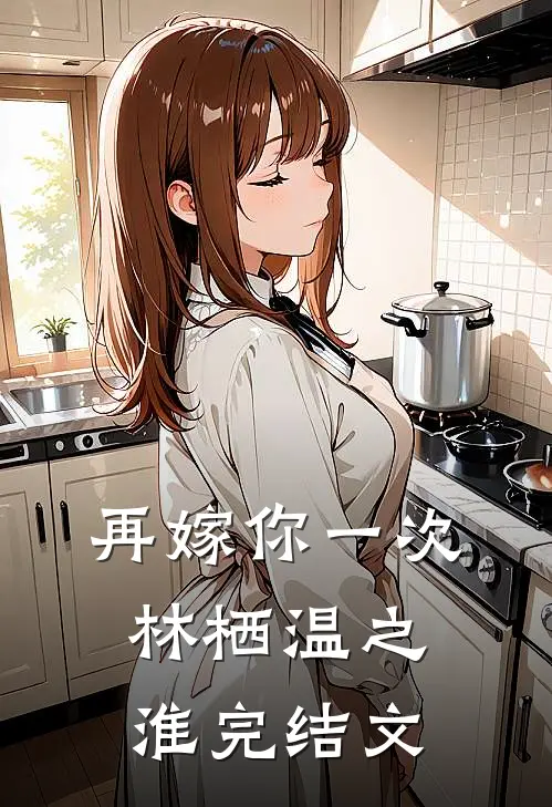再嫁你一次林栖温之淮完结文