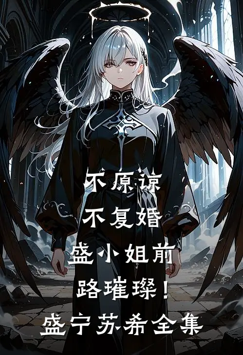 不原谅，不复婚，盛小姐前路璀璨！盛宁苏希 全集