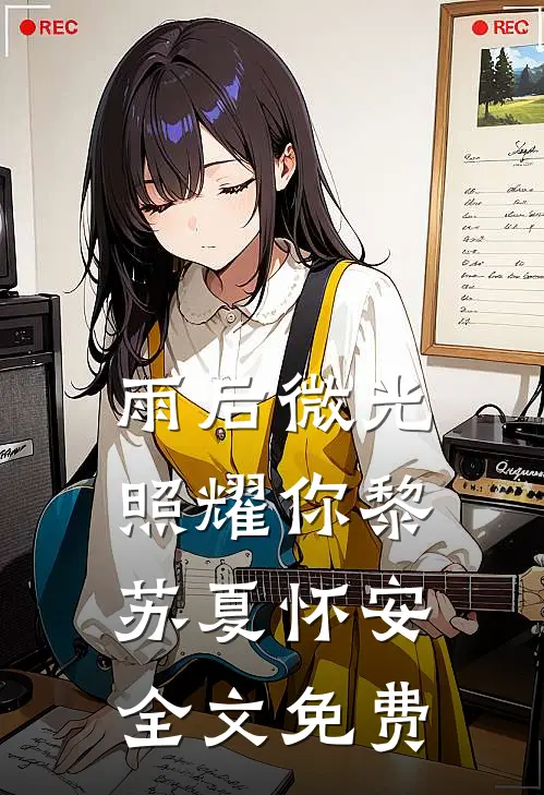 雨后微光照耀你黎苏夏怀安全文免费