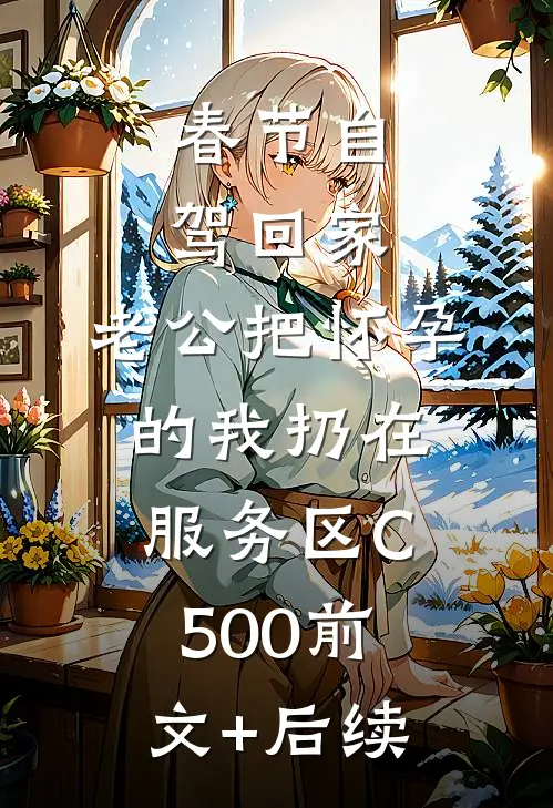 春节自驾回家，老公把怀孕的我扔在服务区C500前文+后续