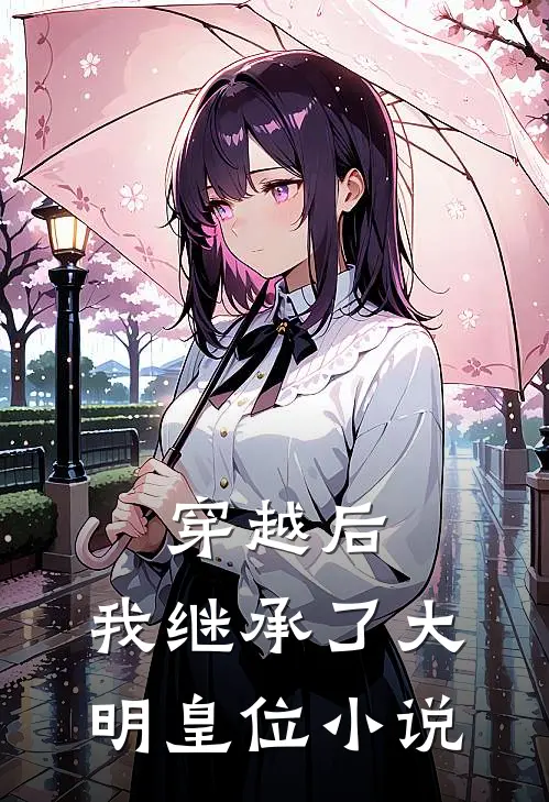 穿越后，我继承了大明皇位小说