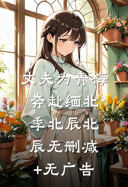 丈夫为青梅奔赴缅北季北辰北辰无删减+无广告