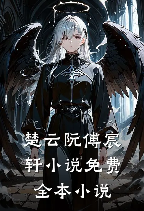 楚云阮傅宸轩小说免费全本小说