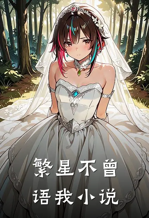 繁星不曾语我小说
