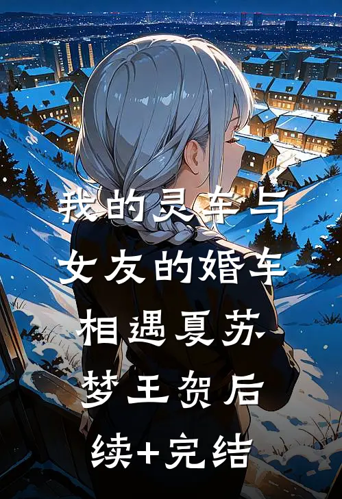 我的灵车与女友的婚车相遇夏苏梦王贺后续+完结