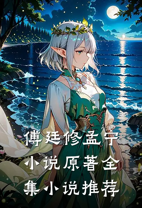 傅廷修孟宁小说原著全集小说推荐