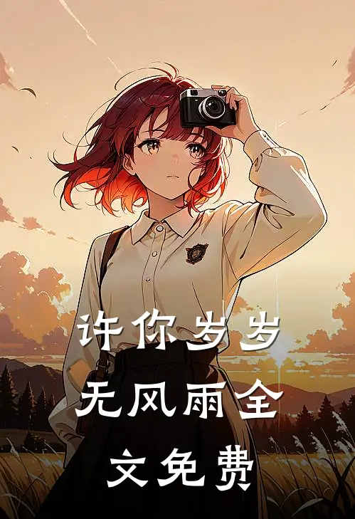 许你岁岁无风雨全文免费