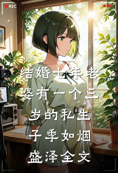 结婚七年老婆有一个三岁的私生子季如烟盛泽全文