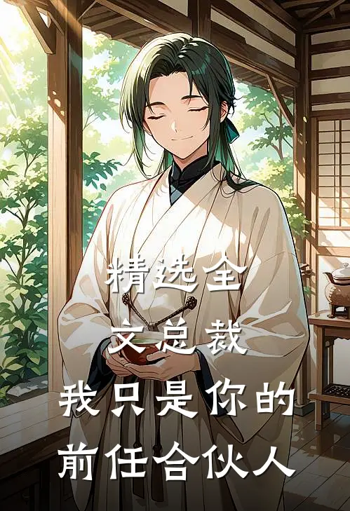 精选全文总裁，我只是你的前任合伙人