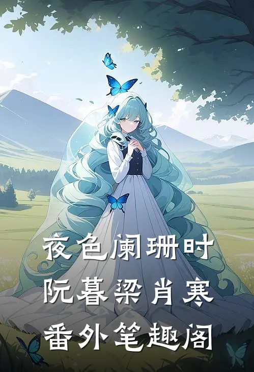夜色阑珊时：阮暮梁肖寒番外笔趣阁