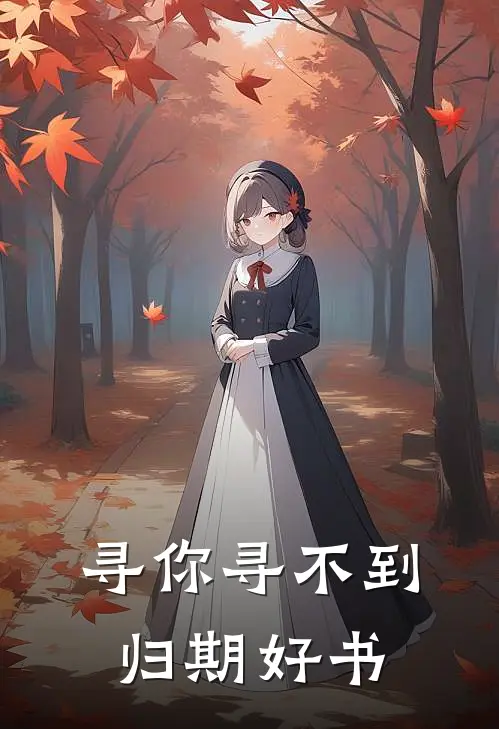 寻你寻不到归期好书