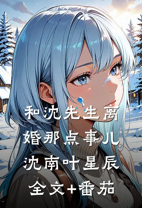 和沈先生离婚那点事儿沈南叶星辰全文+番茄