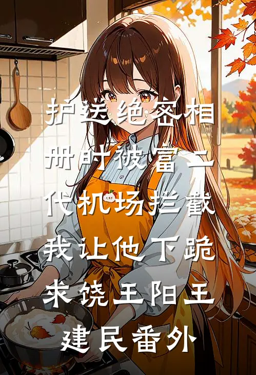 护送绝密相册时被富二代机场拦截，我让他下跪求饶王阳王建民番外