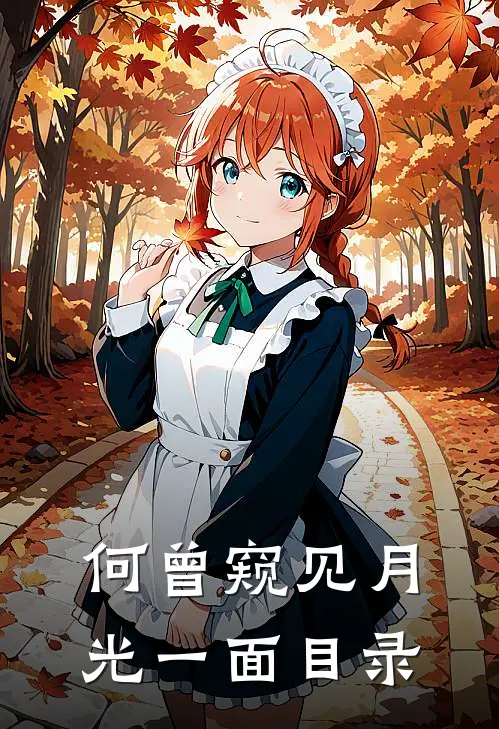 何曾窥见月光一面目录