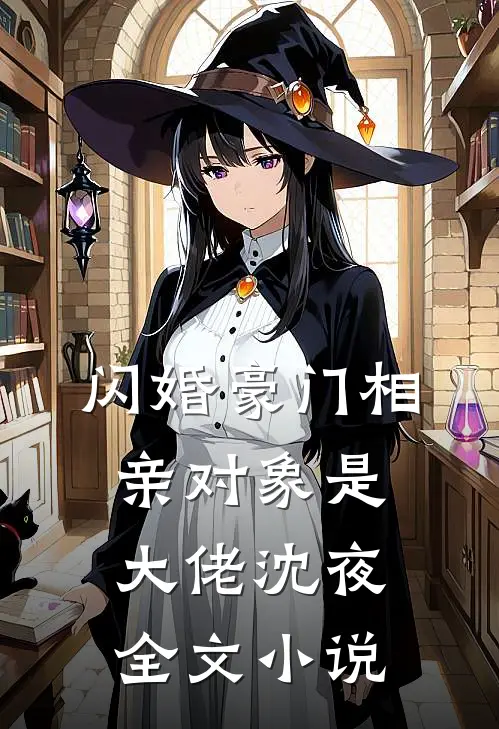 闪婚豪门相亲对象是大佬沈夜全文小说
