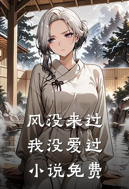 风没来过，我没爱过小说免费