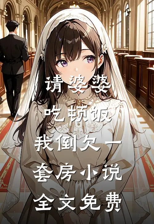 请婆婆吃顿饭，我倒欠一套房小说全文免费