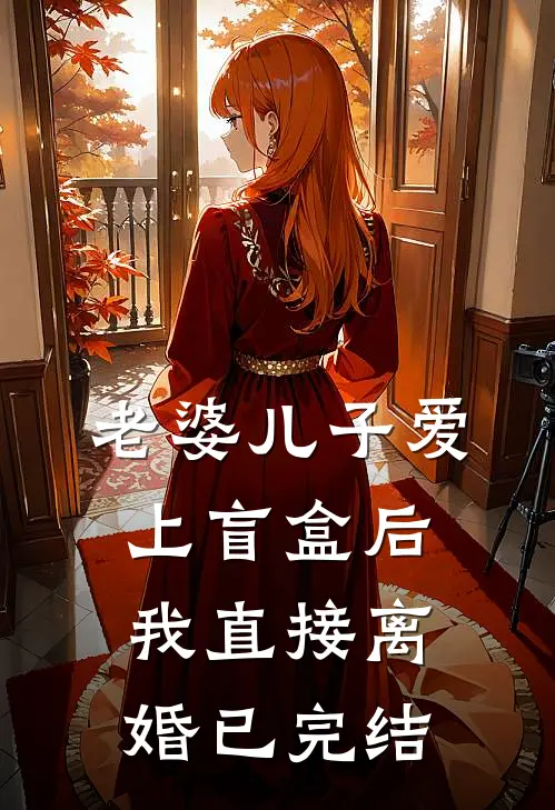老婆儿子爱上盲盒后，我直接离婚已完结