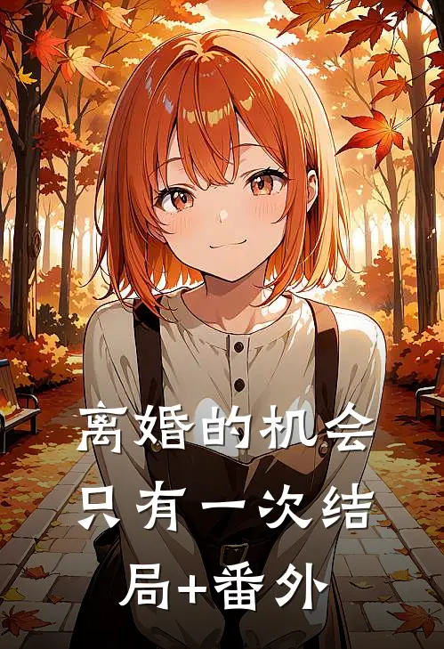 离婚的机会只有一次结局+番外