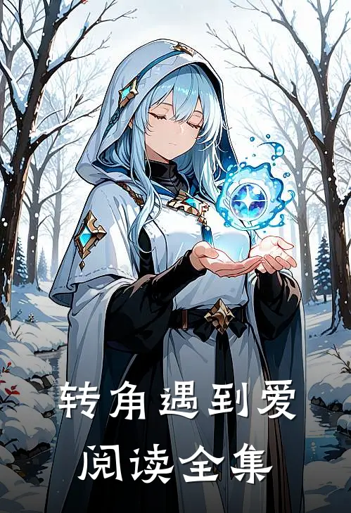 转角遇到爱阅读全集
