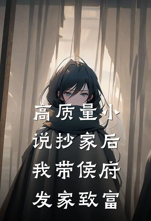 高质量小说抄家后，我带侯府发家致富
