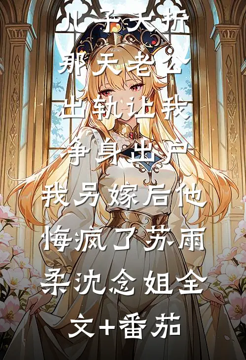 儿子夭折那天老公出轨让我净身出户，我另嫁后他悔疯了苏雨柔沈念姐全文+番茄