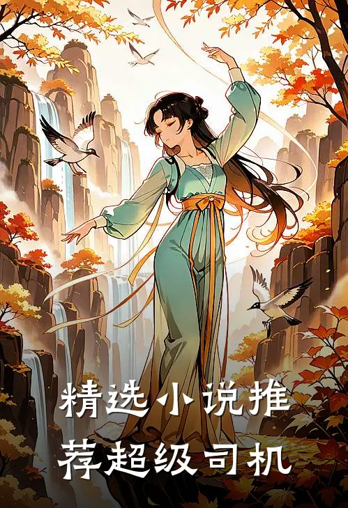 精选小说推荐超级司机
