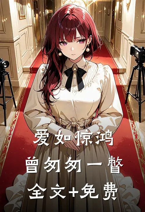 爱如惊鸿，曾匆匆一瞥全文+免费