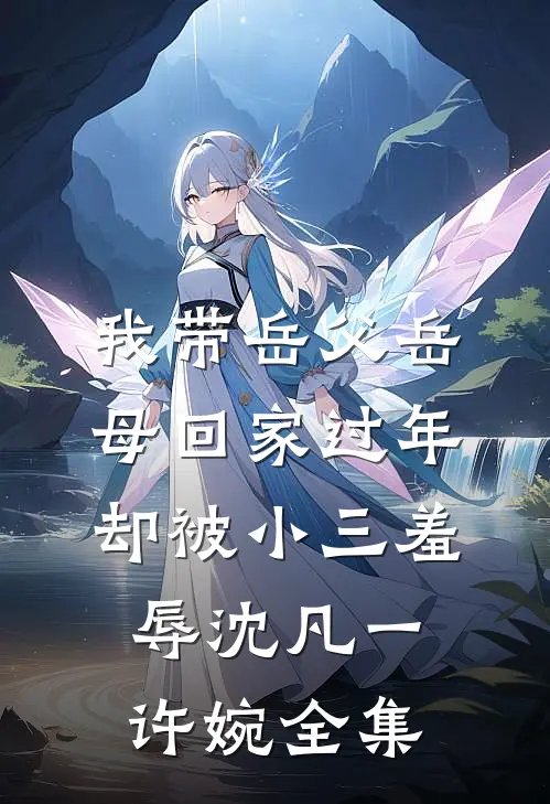 我带岳父岳母回家过年，却被小三羞辱沈凡一许婉全集