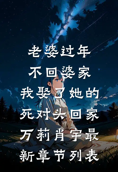 老婆过年不回婆家，我娶了她的死对头回家万莉肖宇最新章节列表