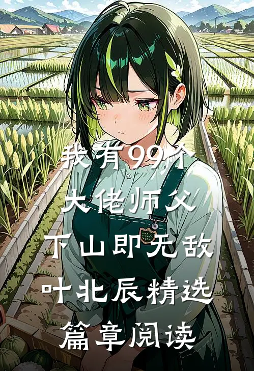 我有99个大佬师父,下山即无敌叶北辰精选篇章阅读
