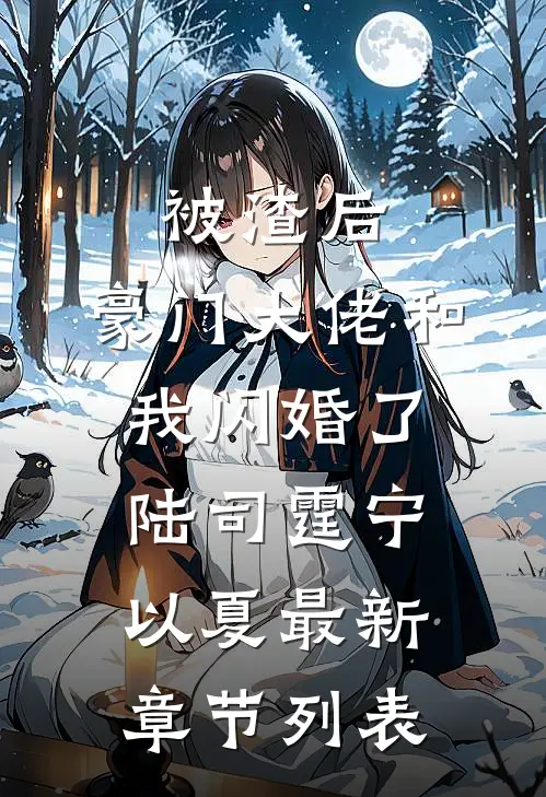 被渣后，豪门大佬和我闪婚了陆司霆宁以夏最新章节列表