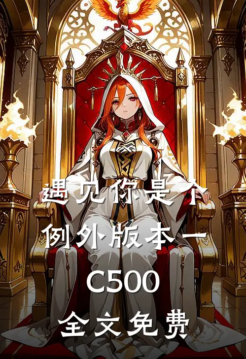 遇见你是个例外 版本一C500全文免费