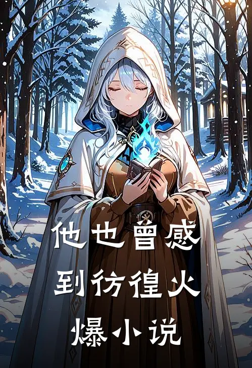 他也曾感到彷徨火爆小说