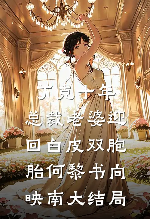 丁克十年，总裁老婆迎回白皮双胞胎何黎书向映南大结局