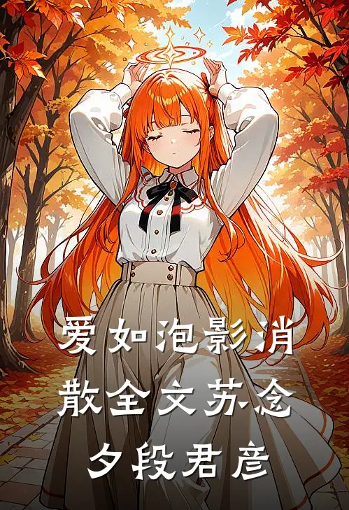 爱如泡影消散全文苏念夕段君彦