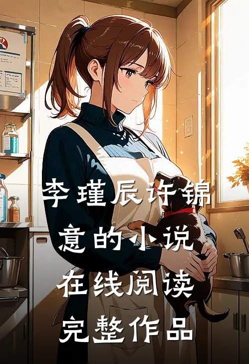 李瑾辰许锦意的小说在线阅读完整作品