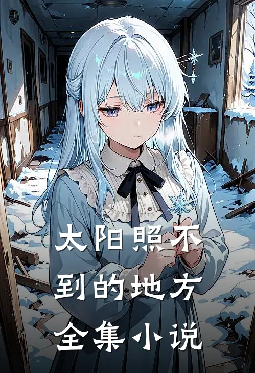 太阳照不到的地方全集小说