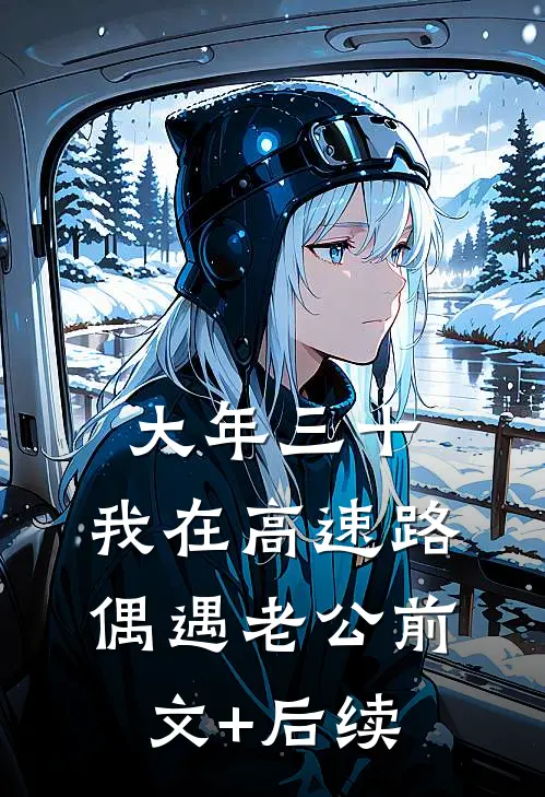 大年三十，我在高速路偶遇老公前文+后续