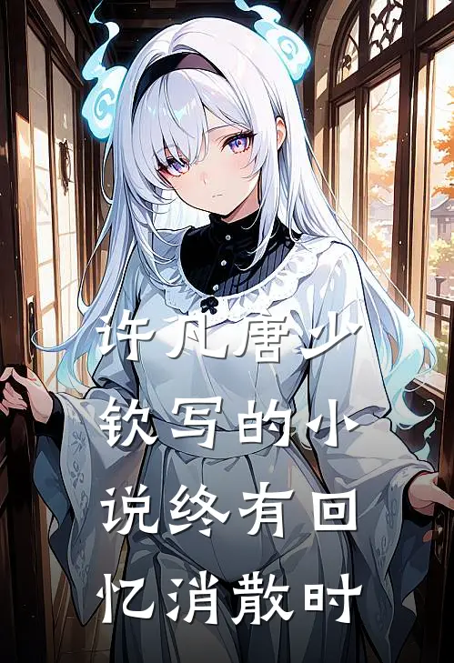 许凡唐少钦写的小说终有回忆消散时