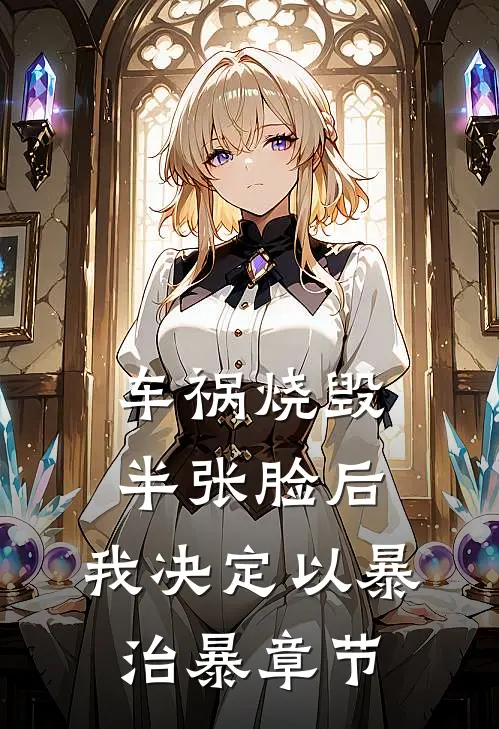 车祸烧毁半张脸后，我决定以暴治暴章节